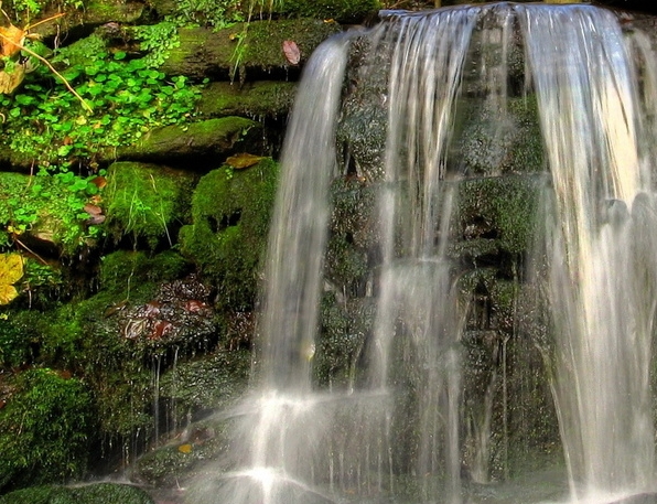 粉象生活可以赚钱吗