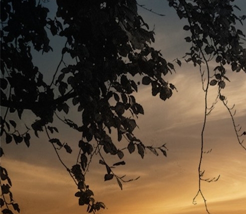 福建高端粉象生活软件