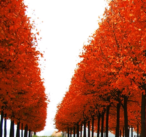 粉象生活开店攻略