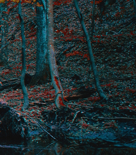 自贡花花生活圈