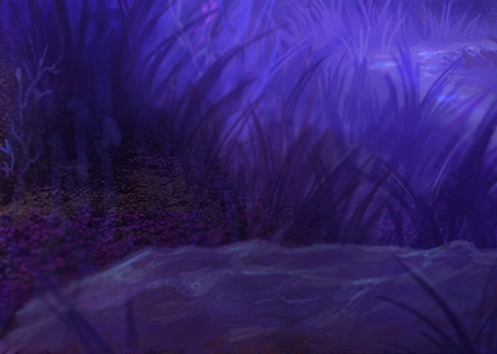 金华选择粉象生活市场前景