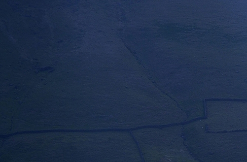 福建归真堂熊胆粉