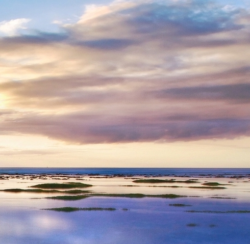 粉象生活直播会