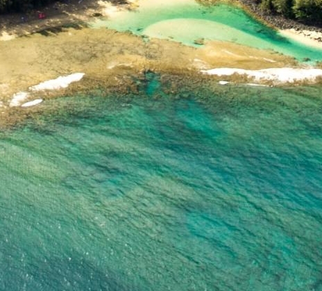 粉象生活是个什么样的平台