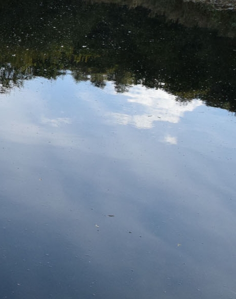 在粉象生活里面可以怎么赚钱呢