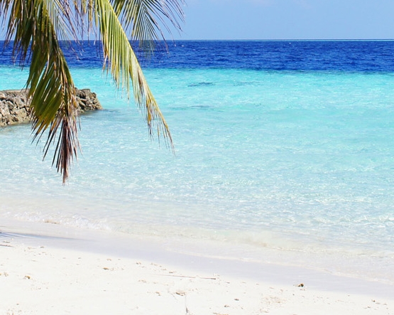 通化粉象生活vip