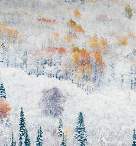 粉象生活彩票中奖