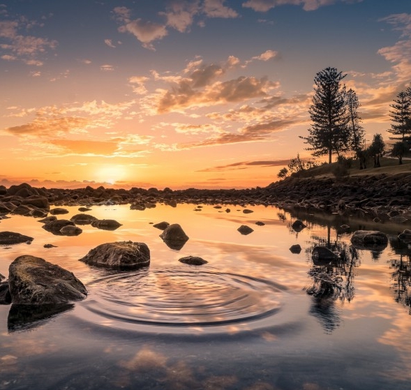 粉象生活最低几元