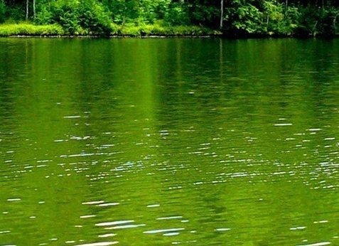 粉象现金打卡什么时候开始的