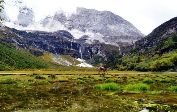 怎么在粉象看粉丝订单