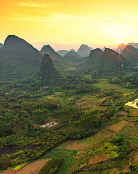 粉象生活冻结3800