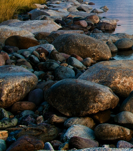 粉象生活是个什么东西
