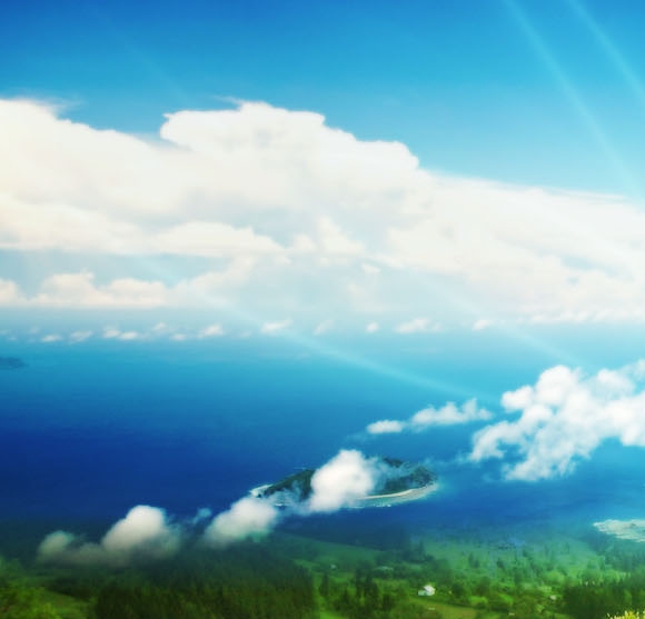 吉林口碑粉象生活