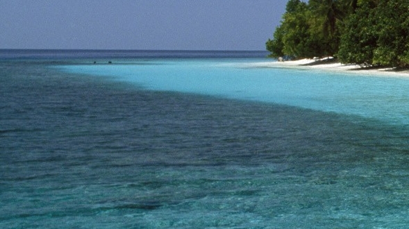 粉象生活推广秘诀