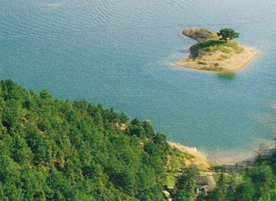 粉象生活下载免费