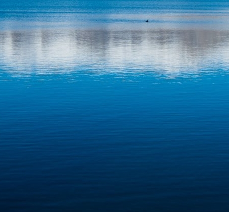 粉象生活花絮北京