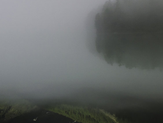 粉象生活升级VIP必须交钱