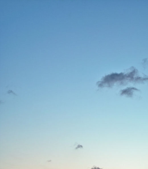 粉象挣钱是真的吗