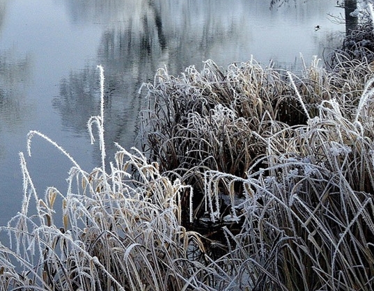 粉象生活发布的产品怎么样