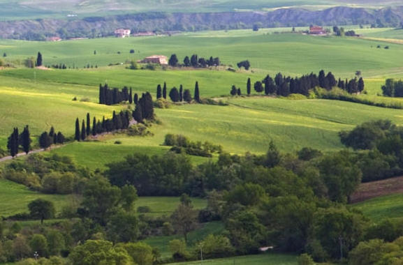 粉象是哪个公司做的