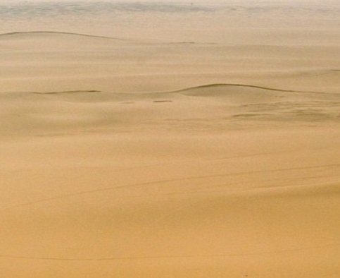 粉象生活用不用团队