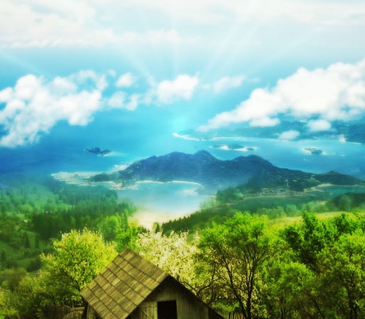 粉象生活邀请码