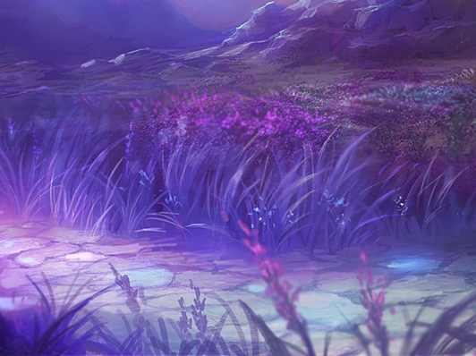 安微一象网络科技有限公司