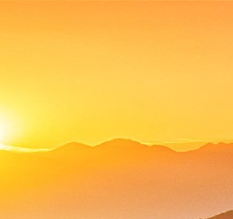 粉象生活下载app