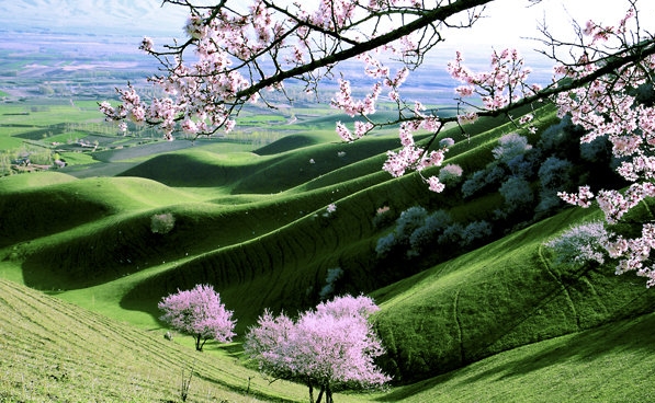 常德粉象生活软件