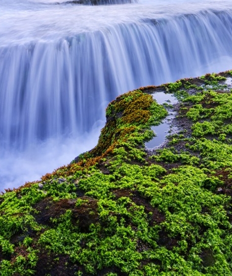粉象生活如何推广赚钱