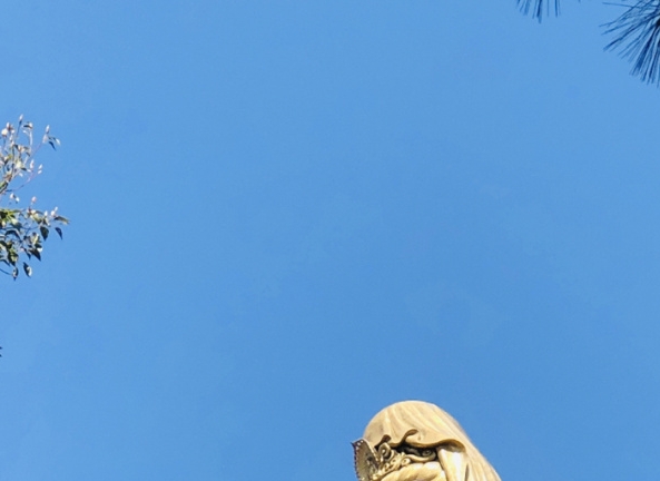 好货推荐粉象生活