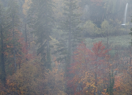 粉象生活合伙人容易升级吗