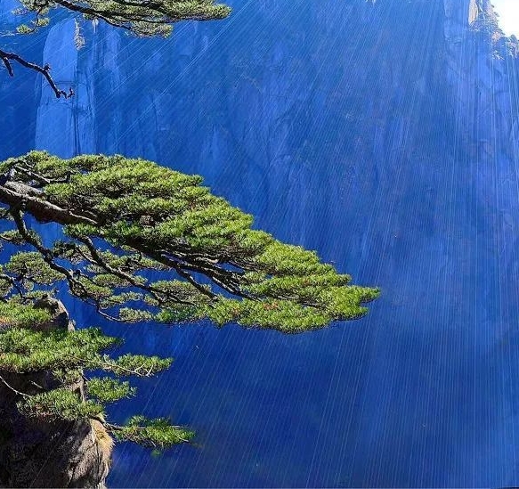 广州粉象生活科技有限公司