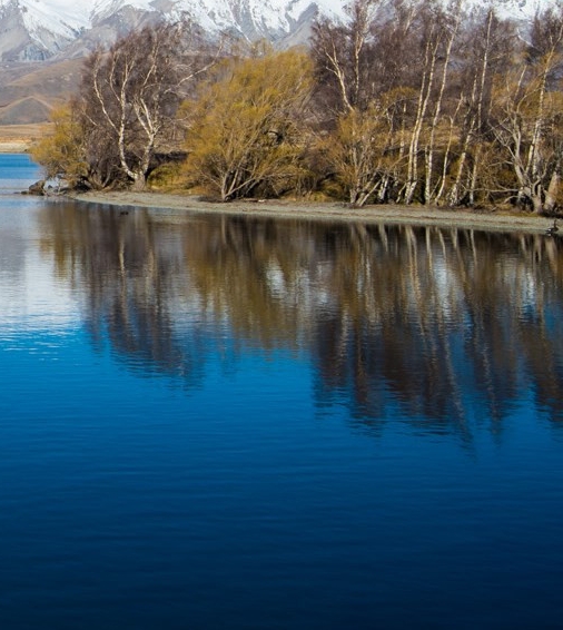 如何快速推广粉象