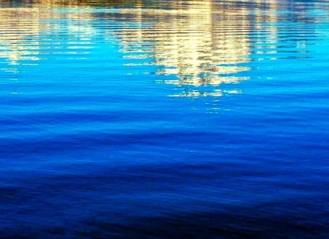 粉象生活vip会员