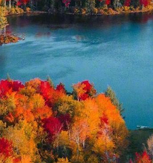 粉象生活的最低成本