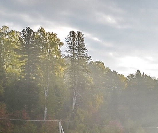 粉象生活邀请逻辑