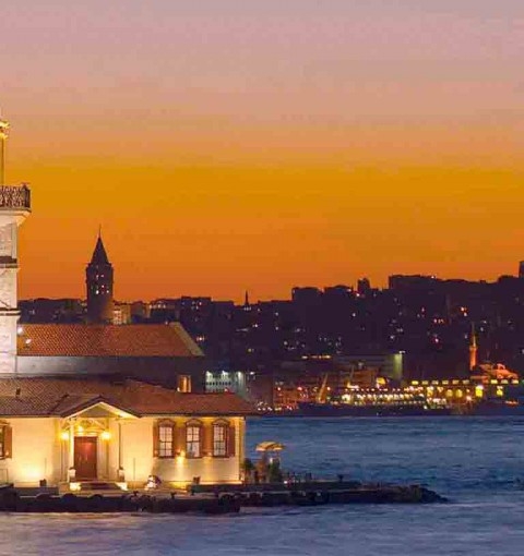 深圳粉象生活电话