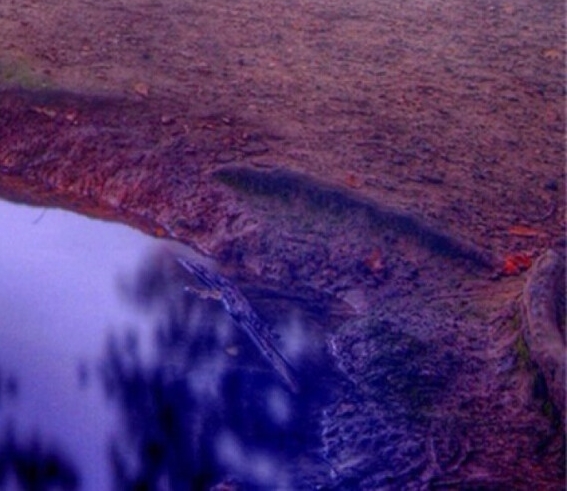 浙江运营粉象生活赚钱么