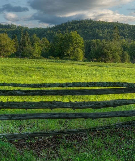 粉象0元购为什么不能购买