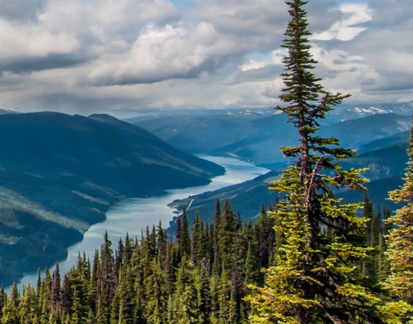 粉象生活里的东西是正品吗