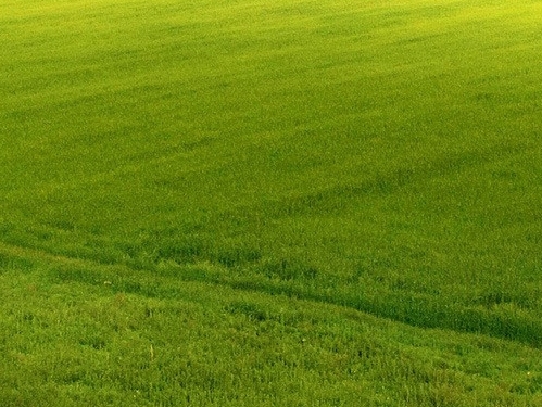 粉象生活邀请码