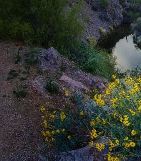 湖北高端粉象生活靠谱么