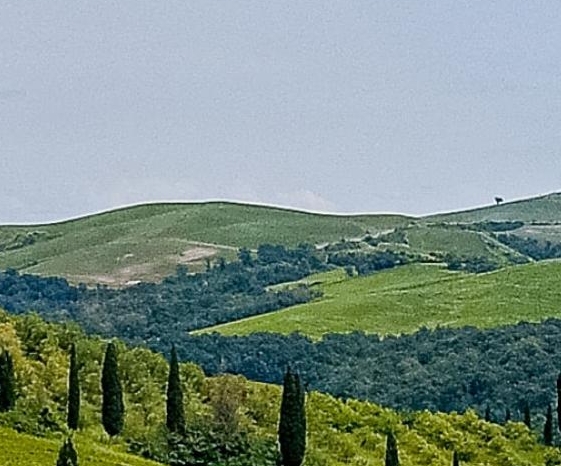 台州粉象生活线上推广