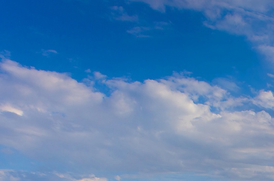 粉象生活下载app