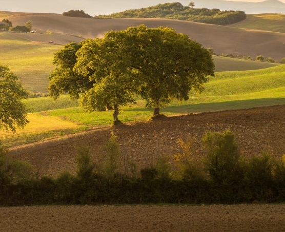 抖音引流工作室出粉