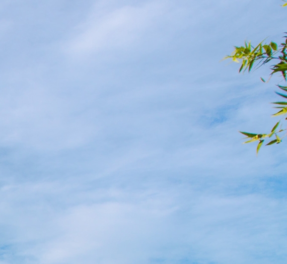 利用粉象生活赚钱