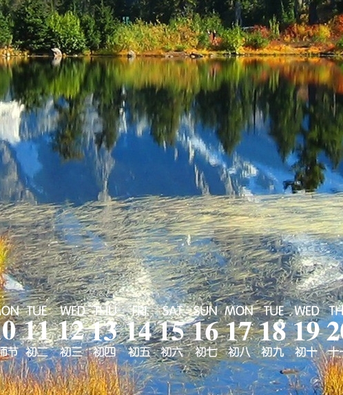 粉象生活VIP挣钱是真的吗