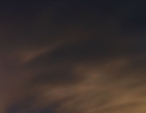 聊城粉象生活推广粉象生活