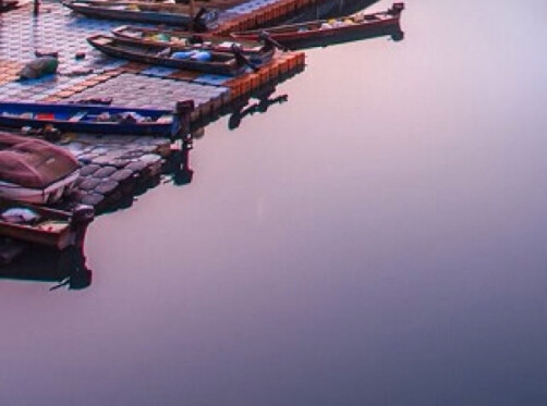 粉象生活值得玩的电商